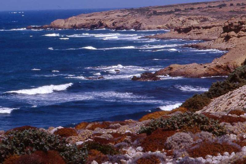 45-Karpathos (tra Finiki e Lefkos),10 agosto 1998.jpg